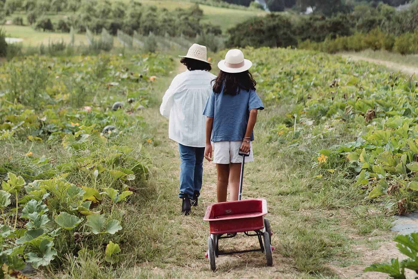 pexels-zen-chung-5528927